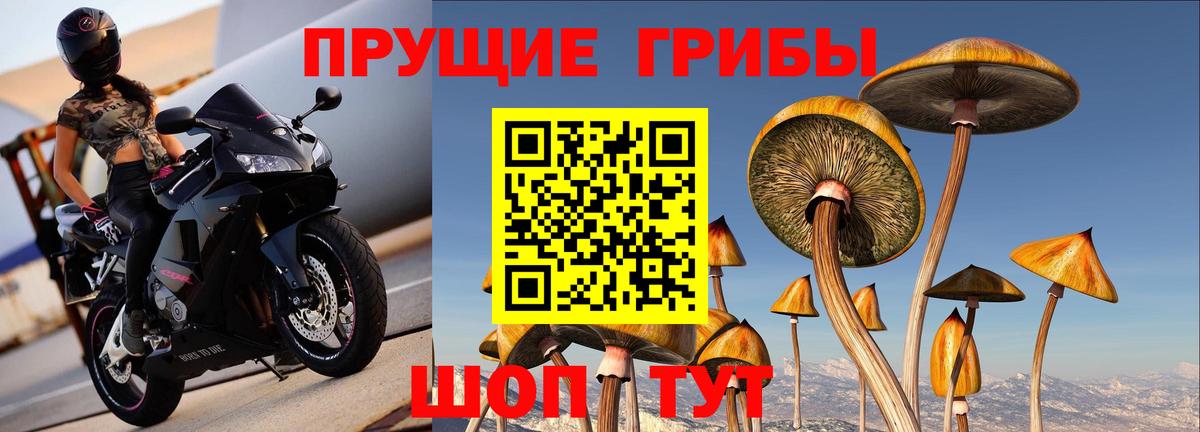 Галлюциногенные грибы Psilocybine cubensis  купить наркотик  Моздок  Вход с VPN 
